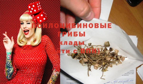 кокс Беломорск