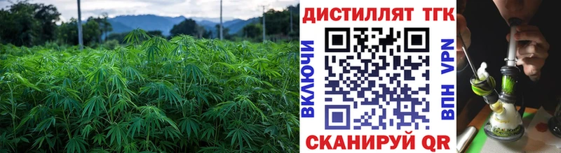 Дистиллят ТГК Wax  Чадан 
