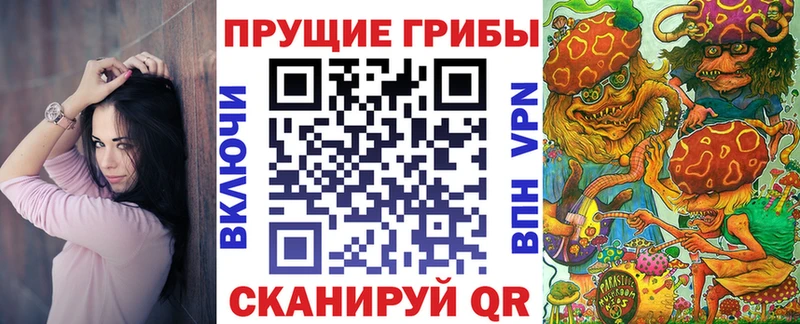 Псилоцибиновые грибы MAGIC MUSHROOMS  KRAKEN онион  Чадан 