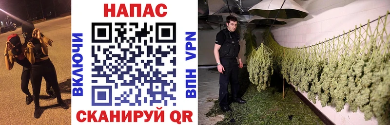 Бошки марихуана LSD WEED  где купить наркоту  блэк спрут зеркало  Чадан 